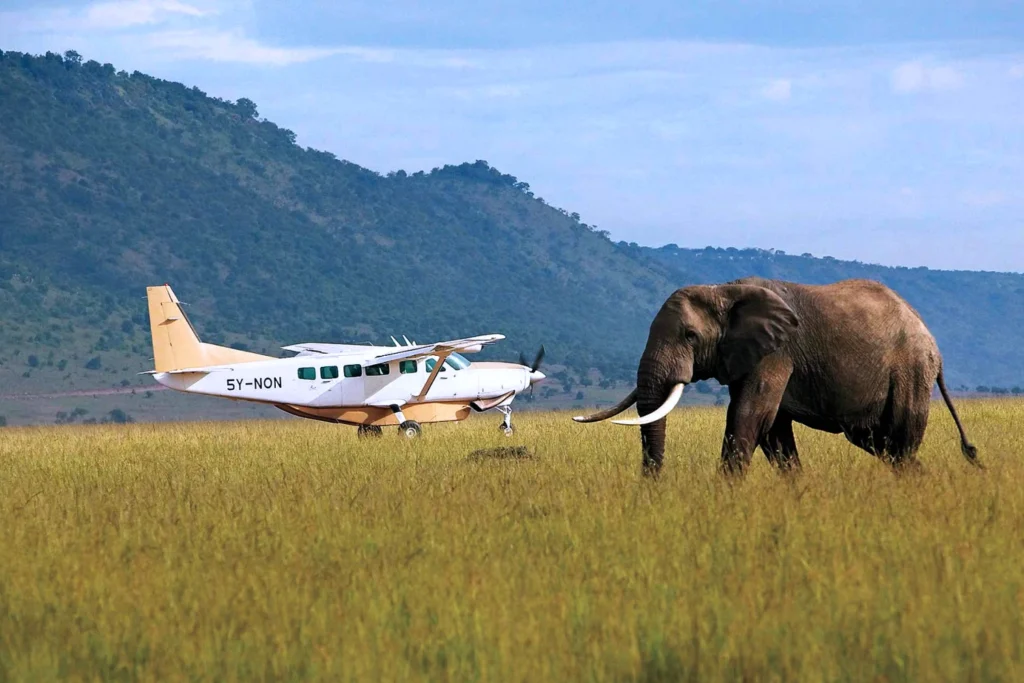 7 Days Tanzania Mid-range Safari