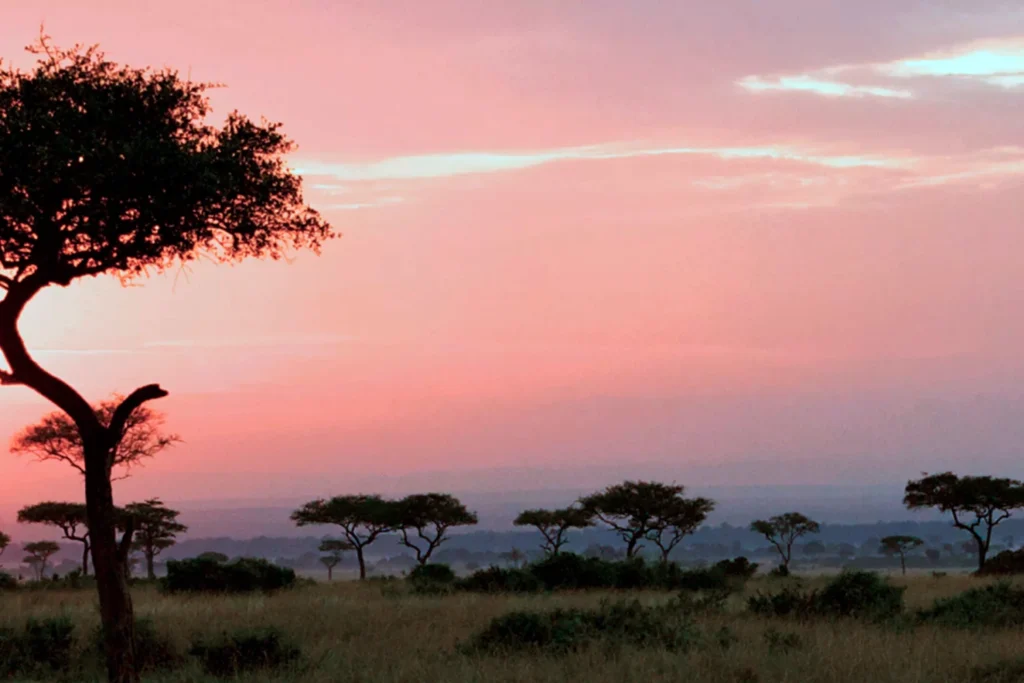 5 Days Tanzania Mid-range Safari