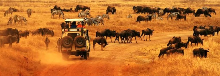 13 Days Kenya and Tanzania Safari